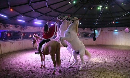Spectacle équestre pour 2 personnes (adulte ou enfant) valable pour Halloween OU Noël - DOMAINE DES MYLORDS