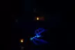 Get Ready for The Haunted Game Show "Halloween Horror Showdown"; Entry Ticket for 1, 2, 4, or 6 (Up to 42% Off) - Second Medium