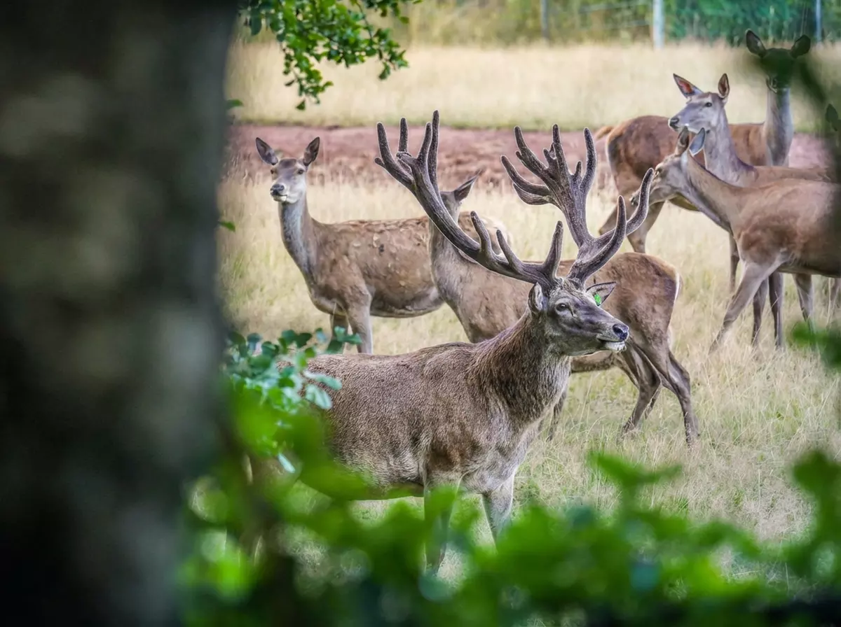 Ticket ab 4 Jahren für den Sonnenlandpark für Winter oder Saisonstart