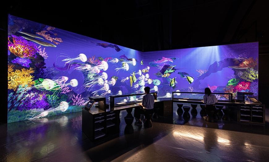 Image 8:  Experience Art Brought to Life Through Light and Sound