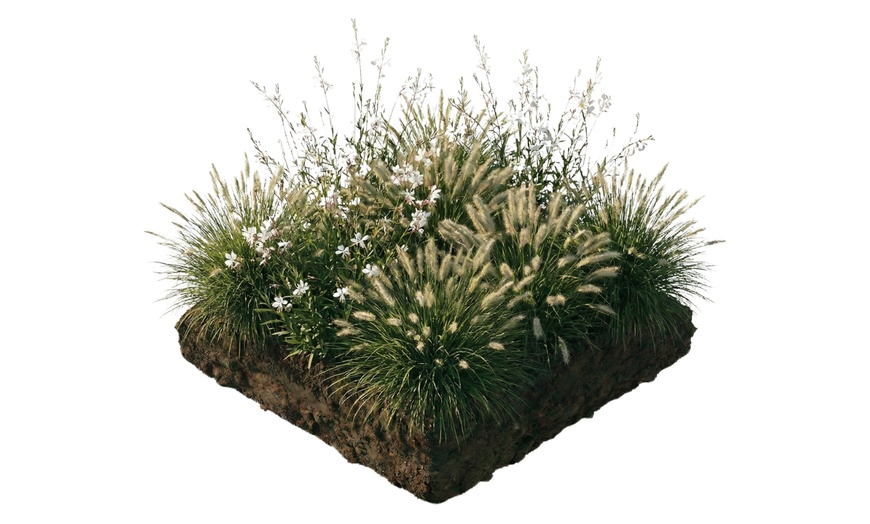 Image 4: Pack de bordure NatureNest 'Luna'