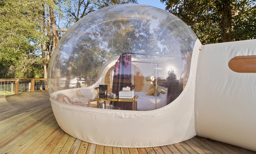 Image 3: Luxury Glamping Domes w/ Pool & Hot Tub, Just Outside Houston