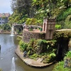 Image 17: ✈ 6-Day Madeira: Explore Portugal's Garden Island with Flights and Car