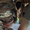 Image 7: Full Synthetic Oil Change with Maintenance Inspection