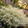 Image 15: Graduation Flower Bulb Collections