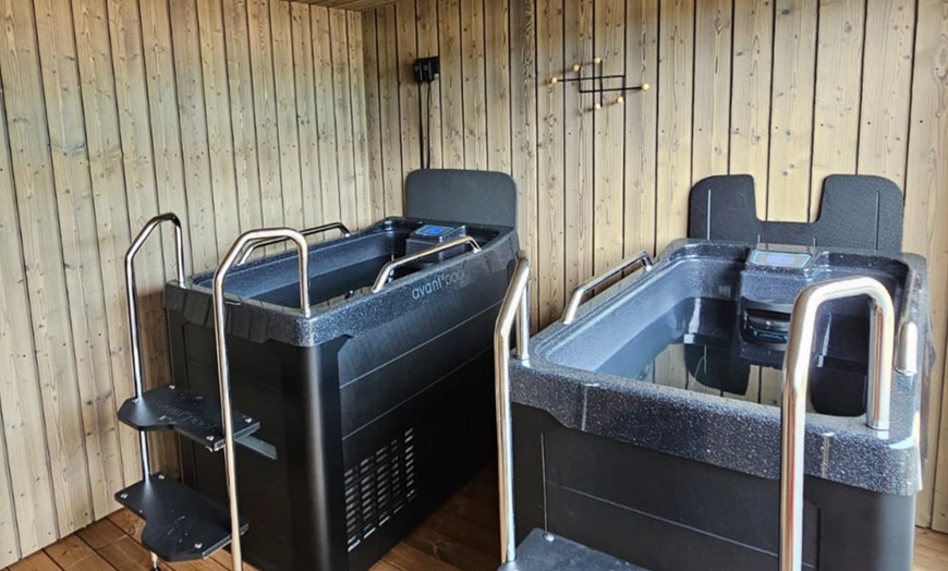 Image 6: Rejuvenate with a Sauna and Ice Bath in 60 Minutes