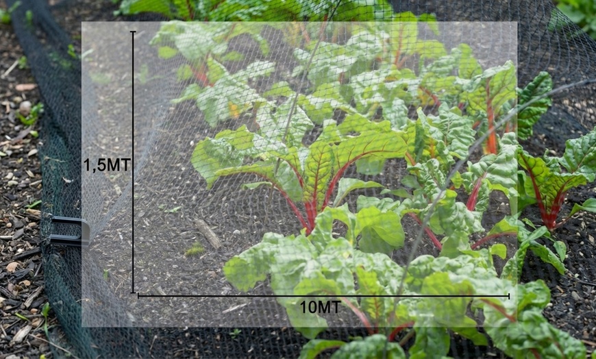 Image 10: Rotolo rete antigrandine