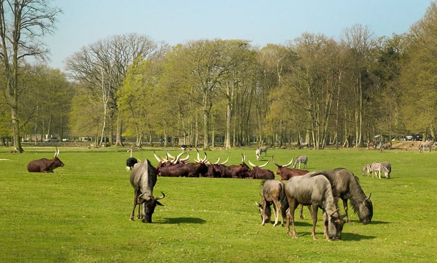 Image 6: Parc de Thoiry, dernières places