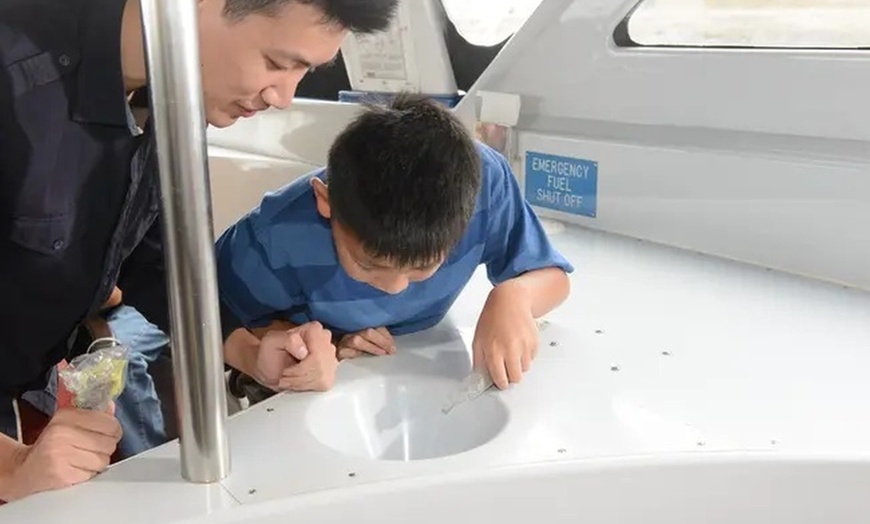 Image 3: Glass Bottom Boat Tour: Explore Catalina's Underwater World