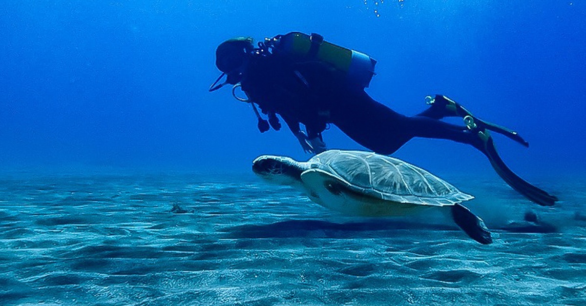 Bautismo de buceo con inmersión guiada en Tenerife