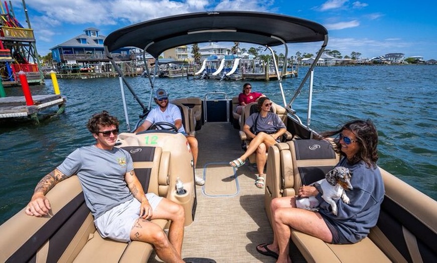 Image 4: Luxury Tritoon Boat Rentals and Group Excursions