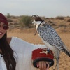 Image 3:  Standard, or VIP Desert Safari with Quad Bike, Camel Ride, & More