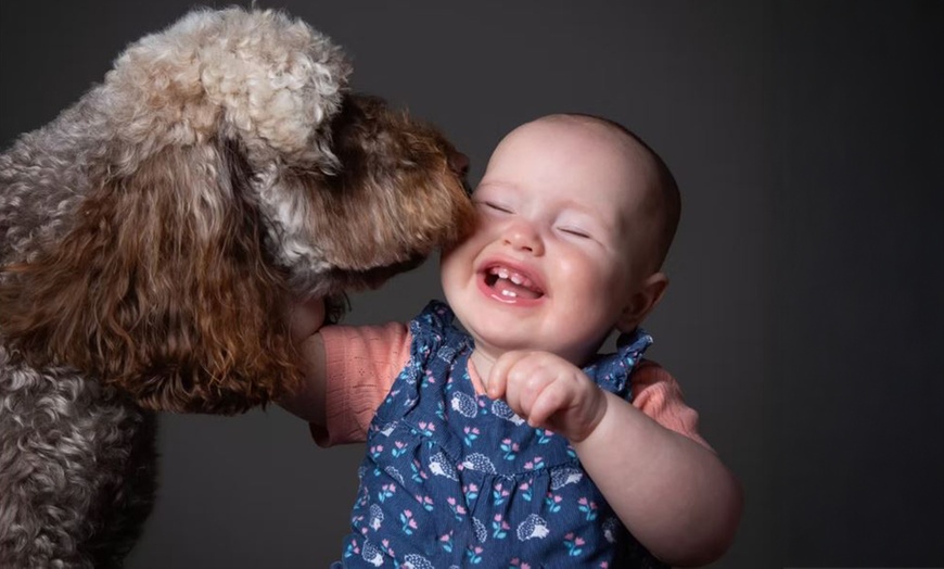 Image 3: Pet Multi Shoot: x2 10x8" Wall Blocks/x2 Digital Images & x1 Per Shoot