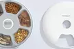 Programmable Six-Meal Automatic Pet Feeder with LCD Display & USB Power for Cats & Dogs (Up To 45% Off) - Image 2