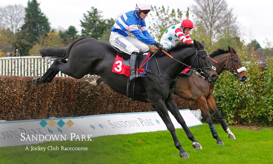 Image 1: Sandown Park Racecourse: Countryside Day