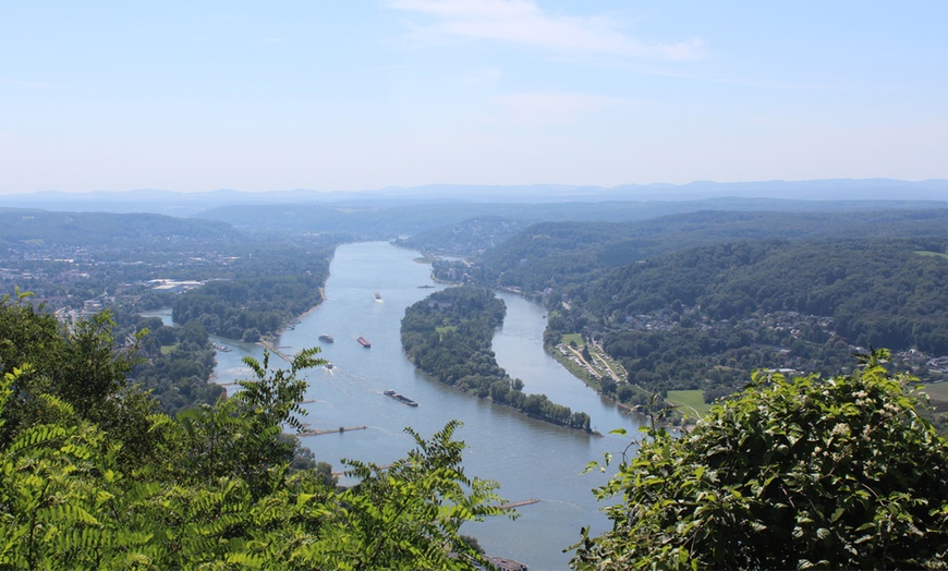 Image 2: Panoramafahrt zwischen Bonn & Königswinter auf der MS RheinTreue