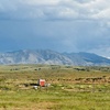 Image 6: HarvestFest 2026 at Sonoita Vineyards 
