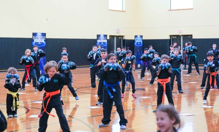 Image 4: Martial Arts Training: 1 or 2 Weeks of Skill-Building Classes
