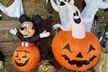 Discover Chris' Farm Stand's  $15 or $20 Voucher Towards Pumpkin Purchase or One Hayride  (Up to 33% Off) - Second Medium