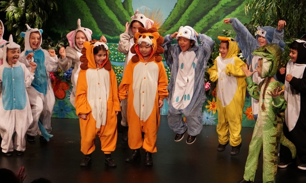 What to expect media