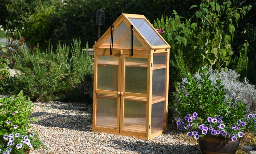 Image 1: Garden Gear Wooden 3-Tier Greenhouse or XL Cold Frame