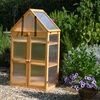 Image 1: Garden Gear Wooden 3-Tier Greenhouse or XL Cold Frame