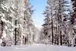 One-Night Stay at Aston Lakeland Village Resort in South Lake Tahoe, CA - Second Medium