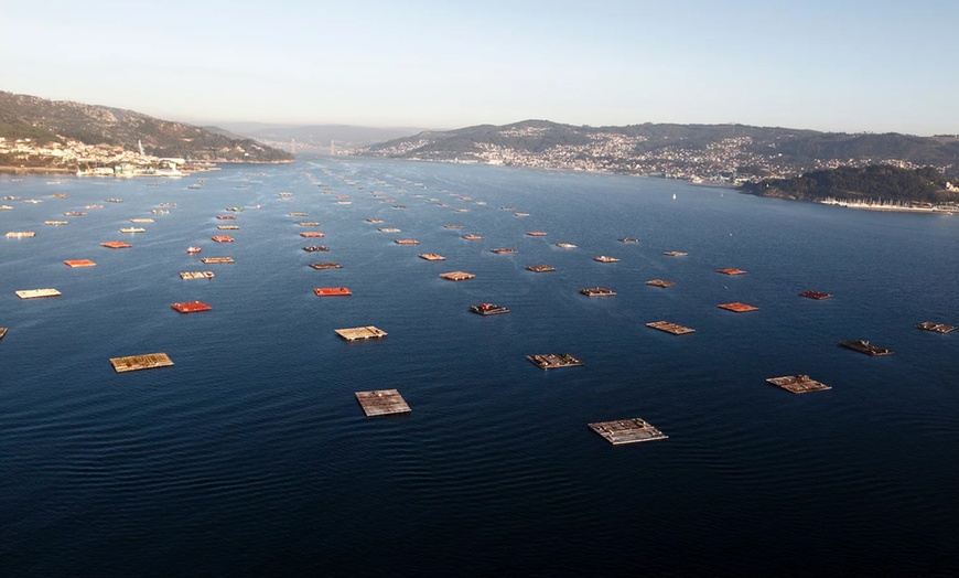 Image 3: Ruta del mejillón con degustación en catamarán para niño o adulto