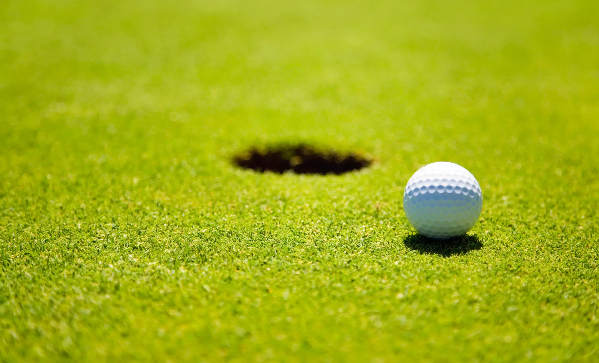 18-Hole Round of Golf for 2 or 4, Including Cart Rental and a Hot-Dog Lunch at Ironwood Golf Club (Up to 49% Off) - Primary Image