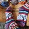 Image 5: 10x Bunte Thermo-Socken für Damen