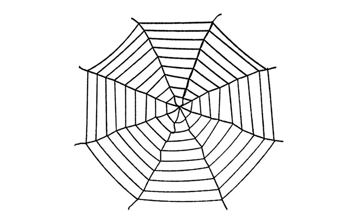 Large Fake Spider Web with Giant Hairy Spider Props Scary Halloween Decor