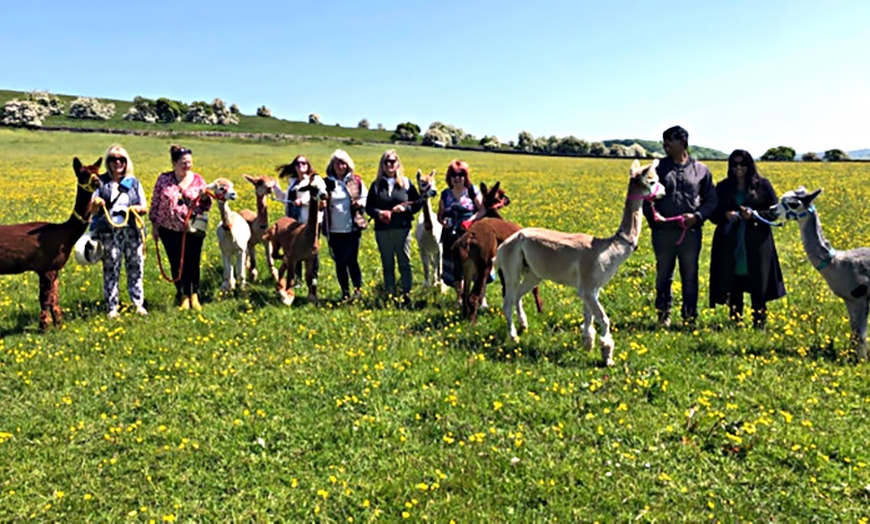 Image 5: Up to 57% Off on Zoo / Animal Park at Rustic Retreats