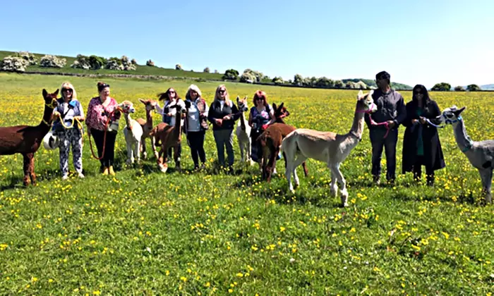 Up to 57% Off on Zoo / Animal Park at Rustic Retreats