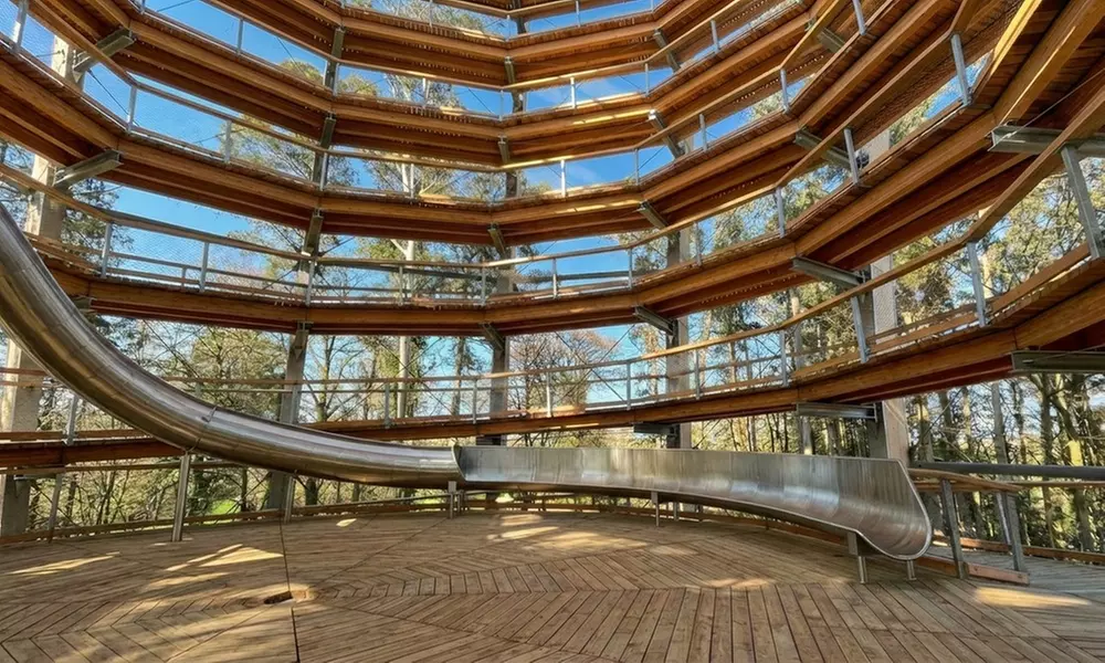 Elevated Treetop Walk & Viewing Tower – Panoramic Wicklow Views