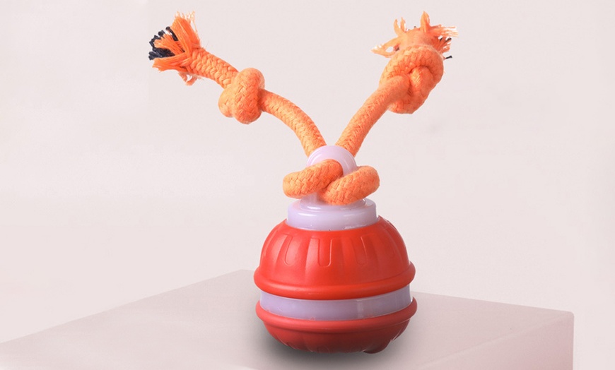 Image 4: Interactive Rolling Ball Toy
