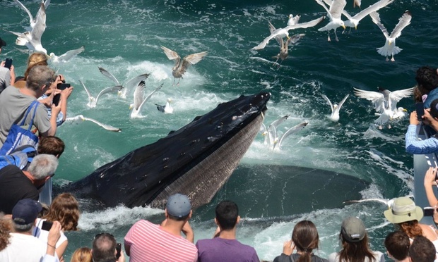 What to expect media