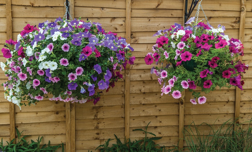 Image 7: Garden Compost - 25 or 70 Litre Bag plus Fertiliser