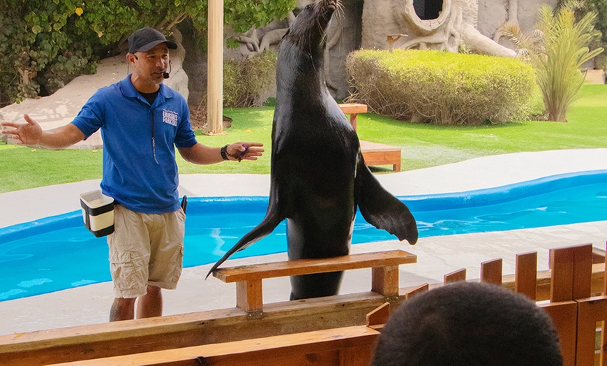 Image 9: 1 or 2 Week Animal Discovery & Activities Winter Camp