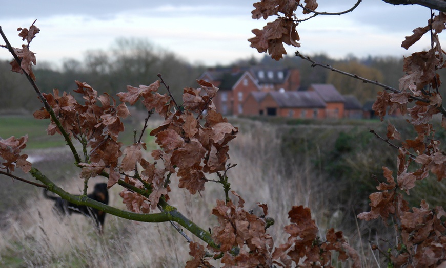 Image 9: Warwickshire Country Break