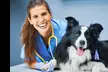 Master Pet Care Careers with Individual or Bundle Courses from International Open Academy Up to 96% Off - Second Medium