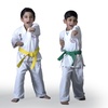 Image 1: 1, 4, or 8 Skill-Building Karate Sessions for Children 5 Years & Older