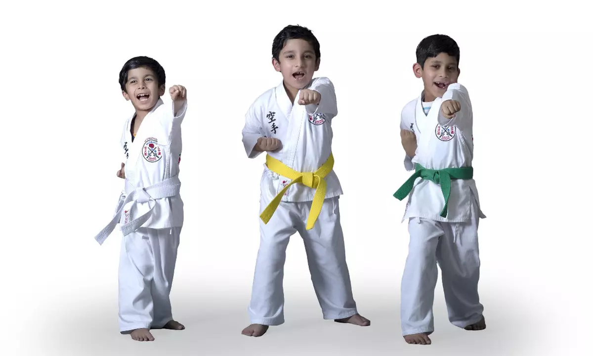 1, 4, or 8 Skill-Building Karate Sessions for Children 5 Years & Older