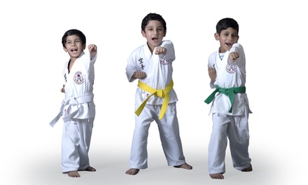 Child 5 years and older: One Session of Karate Classes - The Oriental Karate & Kobudo Club