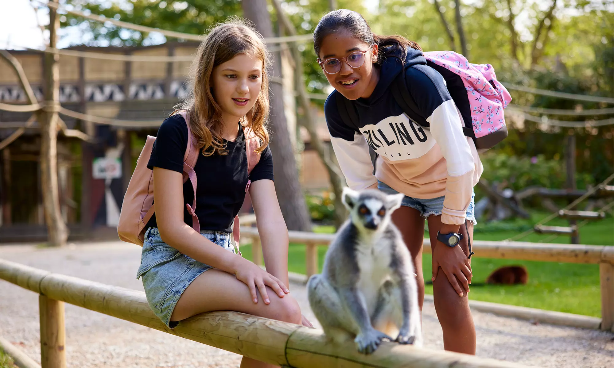 Eintrittskarte für den Bellewaerde Park für 1 Person