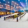 Image 1: Ski Dubai: Year-Round Indoor Snow Fun & Winter Adventures