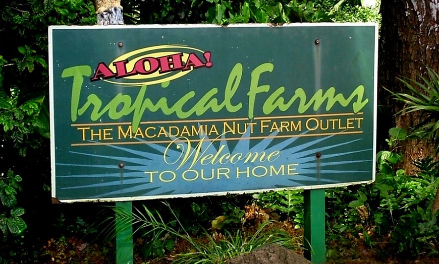 Image 8: Up to 57% Off Oahu Full-Day Island Tour - Aloha Fantasy Tours