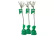 Set de 3 plantas de exterior Rosal XXL - Second Medium