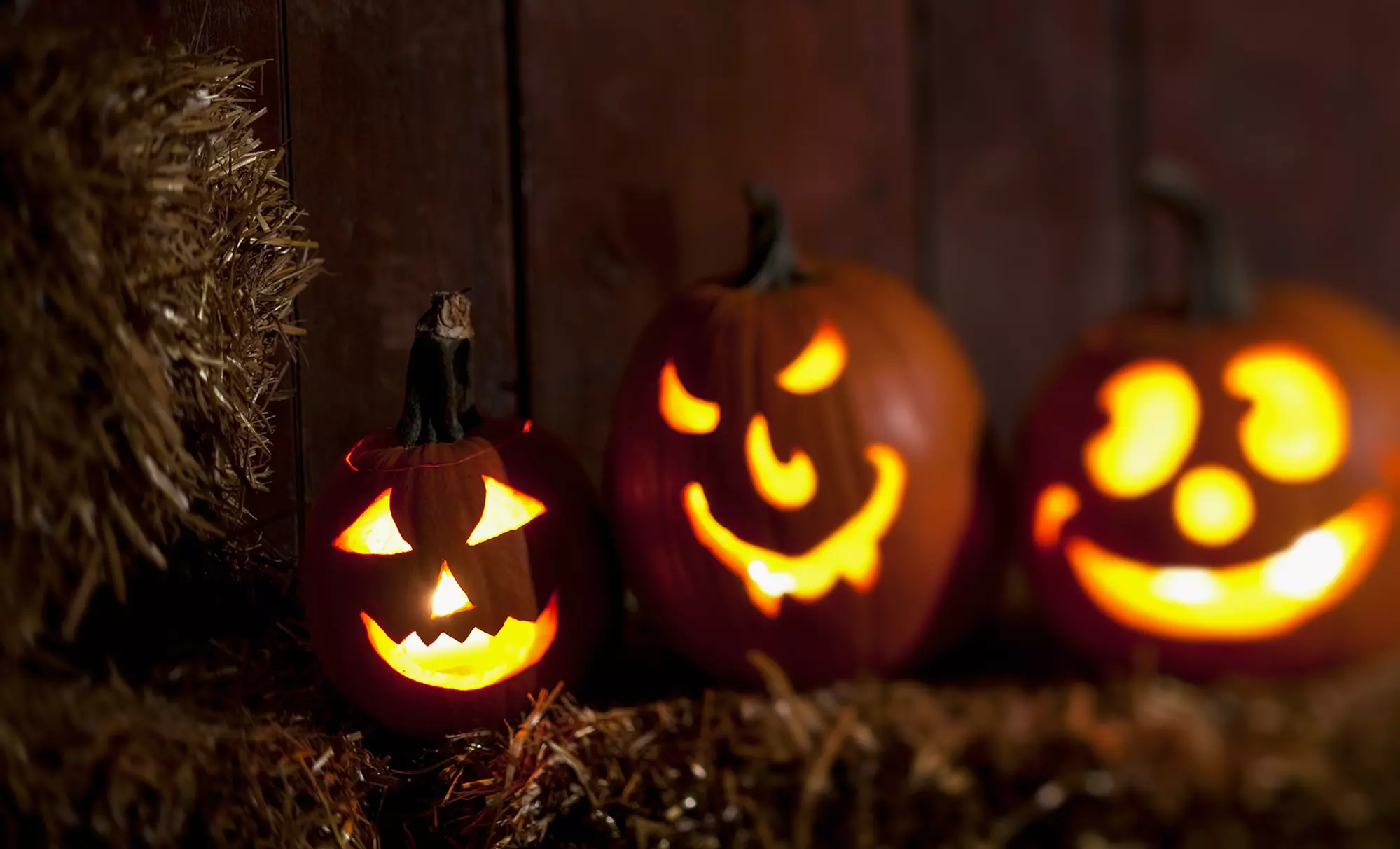 Fright Night with Spooky Hayride, Corn Maze, and Pumpkins for Two or Four at Heiser Farms (Up to 55% Off) - Primary Image