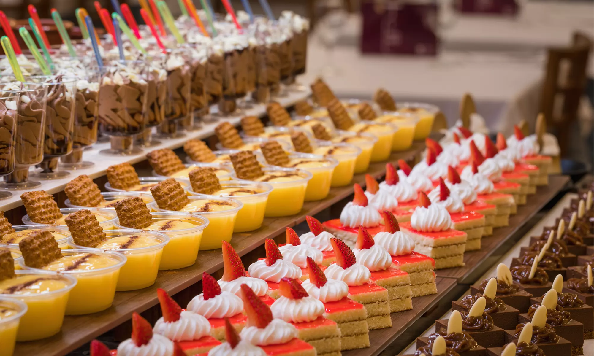 Famille : ESPAGNE ⛱️| Pineda de Mar - Hôtel Pineda Palace 4*