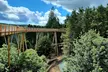 Explore Avondale's Treetop Walk & Viewing Tower with Forest Adventures & Panoramic Views for Children, Adults & Family - Image 2